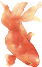 江戸川区販路拡大支援事業助成金 特産金魚