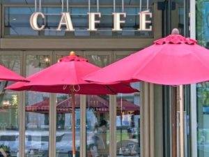 ローカルSEO対策で地域密着型のビジネスを成功させる